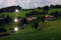landmarks-KALSE-signal4