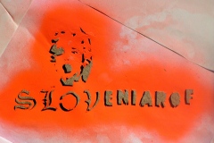 Eniarof-5-Slovenie-Festival-30