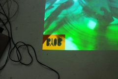 DSC_3230-copie