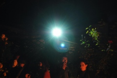 DSC_3327-copie