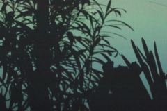 captures-ecran14-copie