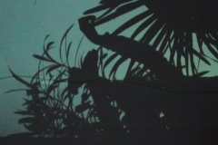 captures-ecran15-copie