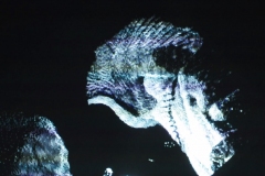 captures-ecran25-copie