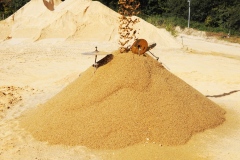 DSC_5375-copie DSC_5375-copie