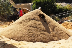 DSC_5397-copie DSC_5397-copie