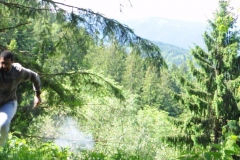 still2