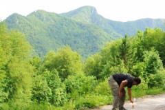 still6