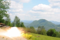 still7